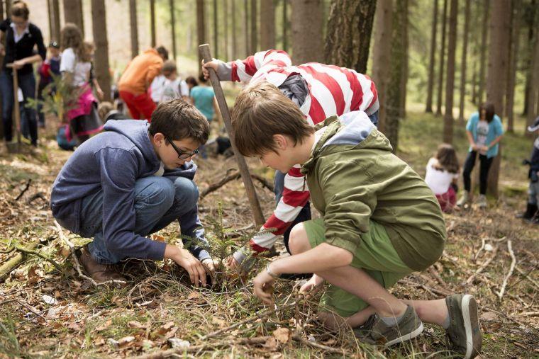 Kinder pflanzen Bäume